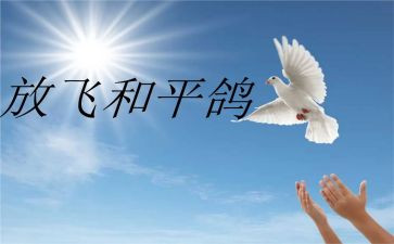 战争与和平的读后感7篇