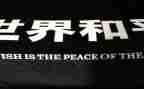 和平与战争读后感通用7篇
