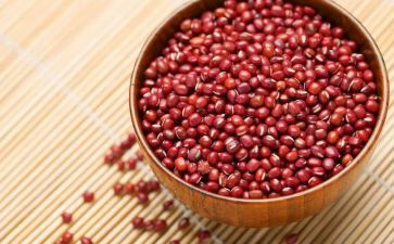 窗外的红豆豆读后感7篇