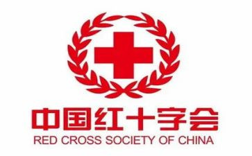 红十字日活动策划5篇