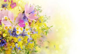 读《朝花夕拾》的读后感作文最新6篇