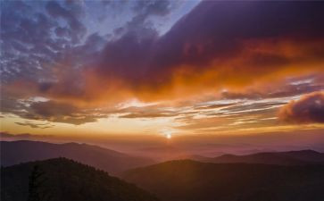 《秋天的怀念》的读后感推荐7篇