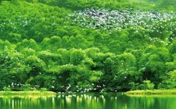 我们周围环境作文8篇