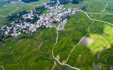 环境保作文模板8篇