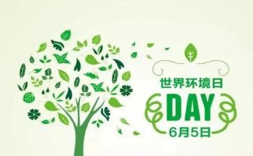 小学环境日主题活动方案8篇