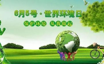 六五环境日宣传活动总结7篇