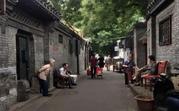 将军胡同,读后感8篇