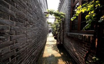 将军胡同,读后感推荐7篇