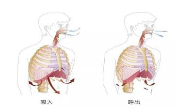 在呼吸科心得体会8篇