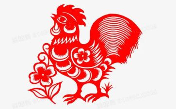 中班社会鸡教案最新7篇