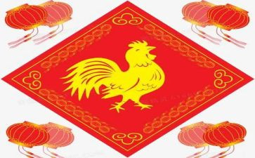 鸡在敲我的门读后感精选5篇