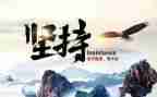 我在坚持作文800字作文精选6篇