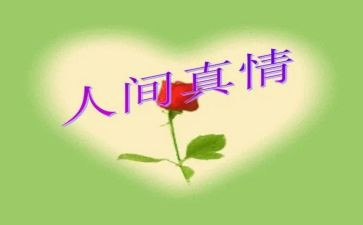 真情的作文8篇