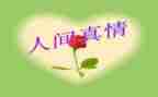 真情的作文8篇