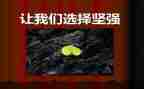 我坚强作文通用7篇