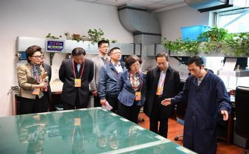 2024年社区监委会主任述职报告7篇