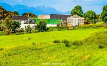 暑假见闻类作文模板7篇