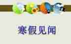 作文暑假见闻400字6篇
