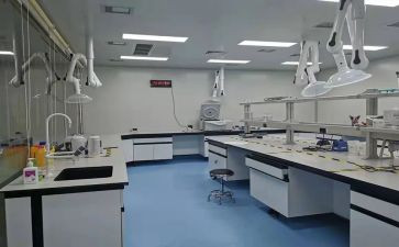 检验室工作总结推荐7篇