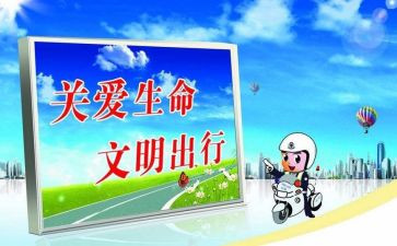 交通教育心得体会5篇