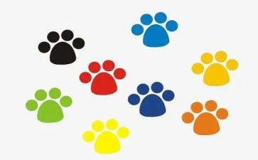 脚印小班教案8篇