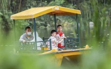 去郊游大班教案5篇