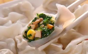 煮饺子心得体会7篇