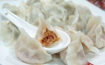 春节饺子宴作文优质8篇