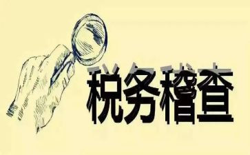 收费站稽查员工作总结6篇
