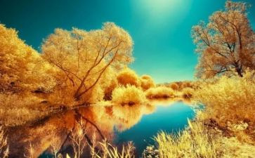 季节话题作文8篇