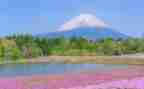 写山景作文7篇