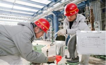 技术培训工作总结优质7篇