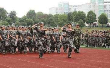 公司的军训心得体会参考8篇