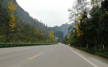 靠自己教案反思7篇
