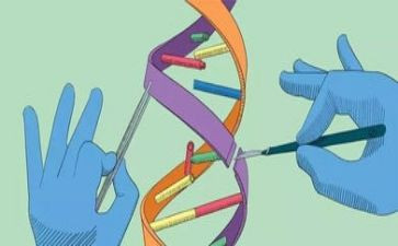 幼儿园小班科学活动教案优秀7篇