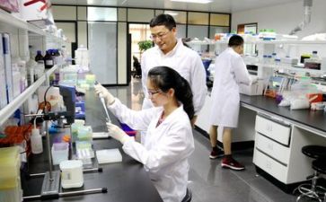 科研工作年终总结6篇