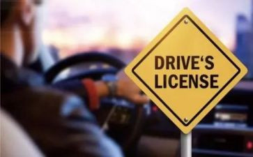 幼儿园科一作文优质5篇