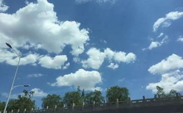 空气棒大班教案推荐6篇