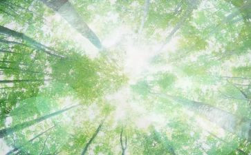 幼儿园空气教案5篇