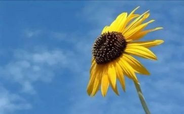 苦孩子读后感精选6篇