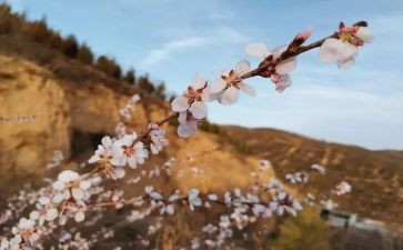 苦孩子读后感参考6篇