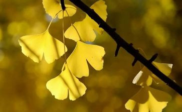 苦趣优秀作文7篇