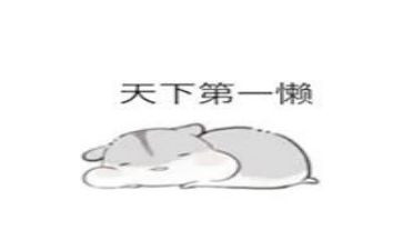 工作懒的心得体会精选6篇