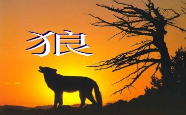七年级上册《狼》教案精选7篇