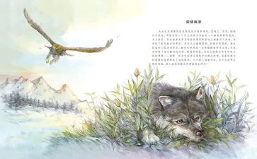 狼王梦3读后感模板5篇