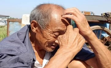 关爱老人实践心得体会8篇