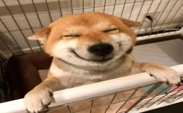 四年级音乐课教学总结6篇
