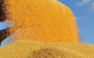 以节约粮食为演讲稿7篇