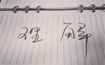 请理解我作文800字8篇