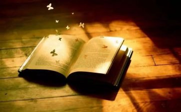 关于理解类的作文优质6篇